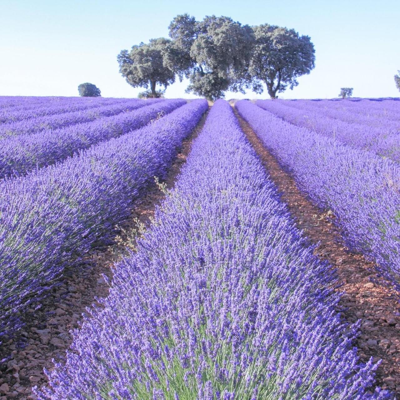 Le Cosy Valcros, Design Et Confort Aix-en-Provence Luaran gambar